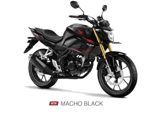 variant-2-9-07052021-090338 CB 150R STD